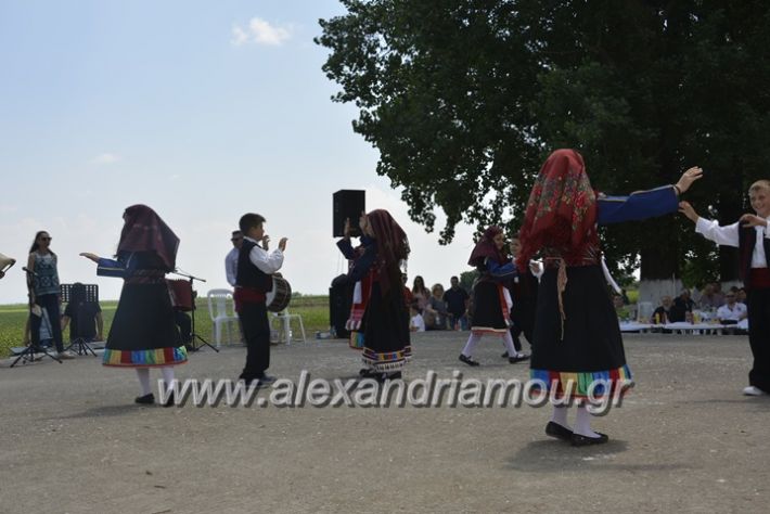 alexandriamou.gr_trikala28.5.2018217